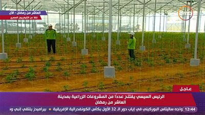 الرئيس السيسى يتفقد محطة الفرز والتعبئة ضمن مشروع الصوب الزراعية فى العاشر