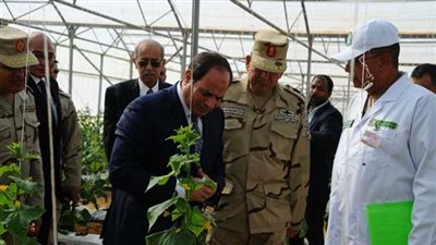 نقيب الفلاحين: مشروع الصوب الزراعية سيساهم في زيادة نسبة الصادرات للخارج