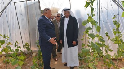 محافظ الوادي الجديد يستقبل وفدا من المستثمرين العرب