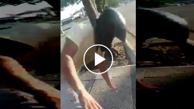 إيه اللي رماك على المر .. شاهد لحظة كسر قدم سائق في حادث مؤلم
