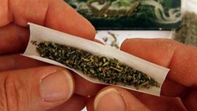 ضبط مراهق إثر حيازته كمية من نبات البانجو بقصد التعاطي في الخانكة