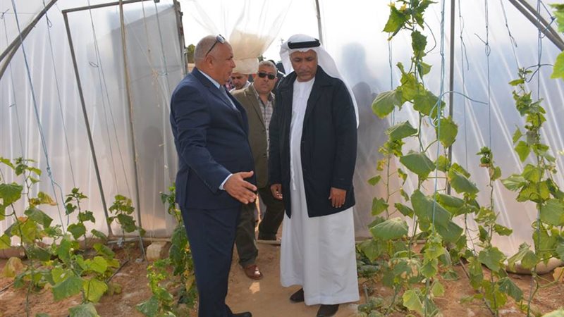 محافظ الوادي الجديد