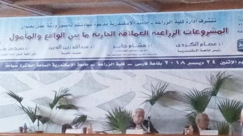 المشروعات الزراعية