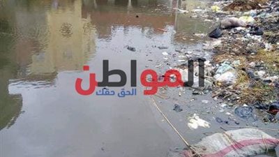 صور| أهالي الروس بمطوبس: مياه الأمطار حولت القرية إلى مستنقعات لنشر الأوبئة
