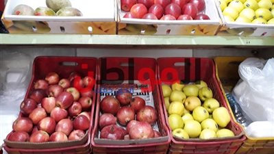 أسعار الخضروات والفاكهة في أسواق كفر الشيخ