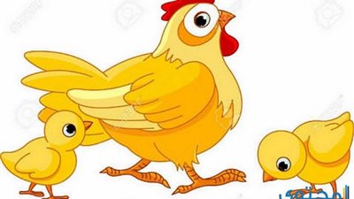 حكايات قبل النوم .. قصة الذئب الشرير والكتكوت فوفو