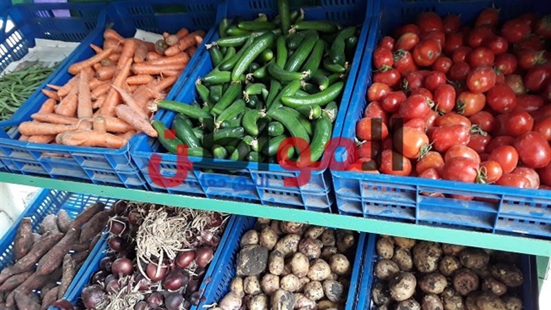 أسعار الخضروات بالغربية