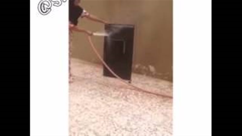 المواطن