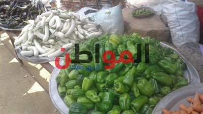 أسعار الخضروات بأسواق بني سويف اليوم الخميس.. تعرف عليها