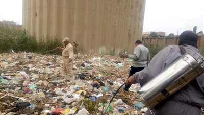 هكذا واجهت صحة بني سويف خطر انتشار حشرات الباعوض