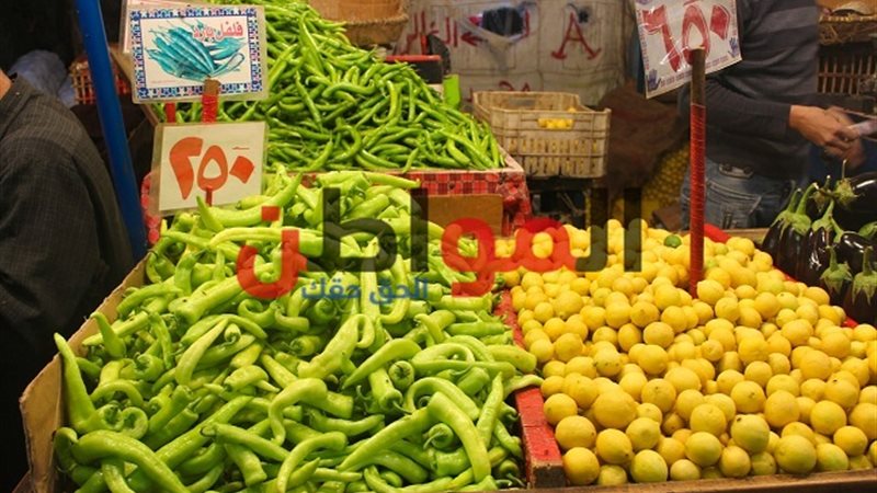 أسعار الخضروات في
