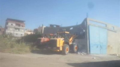 إزالة التعديات على الأراضى الزراعية بالإسكندرية 