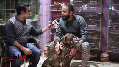 فيديو | تاجر حيوانات يكشف خفايا وأسرار تربية العصافير والكلاب
