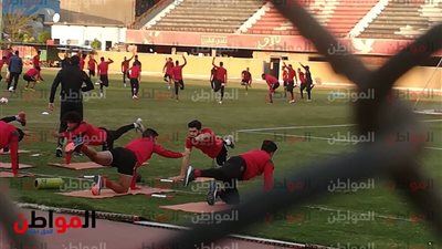 صور..  