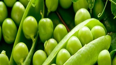  أسعار الملوخية والبسلة الإثنين.. تعرف عليهم 