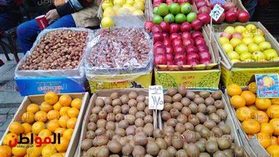 تعرف على أسعار الفاكهة فى سوق العبور الثلاثاء 