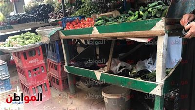  انخفاض أسعار الطماطم والبطاطس فى نشرة أسعار الأربعاء 