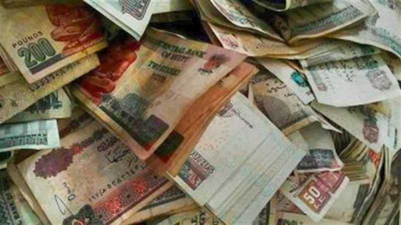  مدخرات المصريين