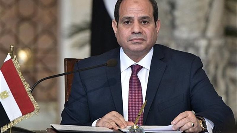 الرئيس السيسى والغلاء