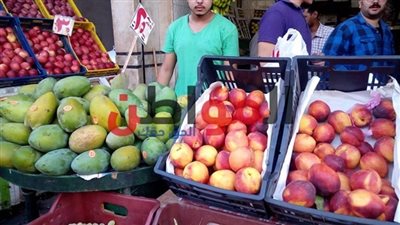 أسعار الخضروات والفاكهة بأسواق الإسكندرية اليوم الخميس