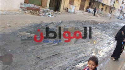 فيديو| أهالي مساكن الصينية بالعجمي يشيدون بمبادرة حياة كريمة: 