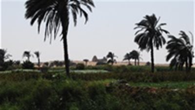 الأرصاد: الجمعة طقس معتدل على شمال الصعيد نهارًا بارد ليلاً
