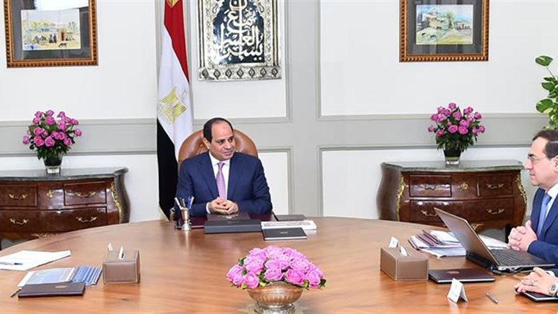 السيسي و مدبولي ووزير