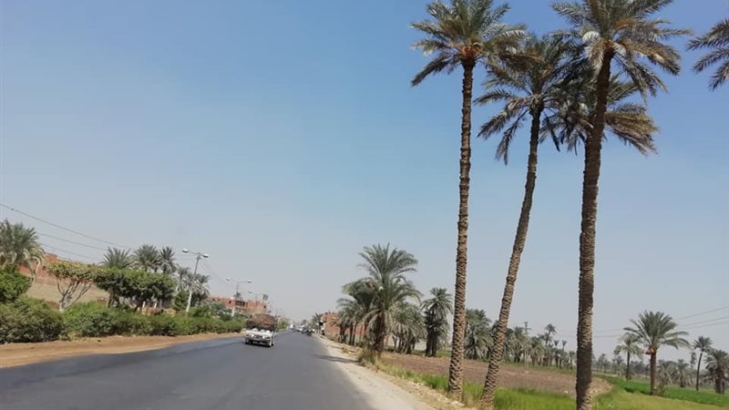 طموحات وآمال الفيومية