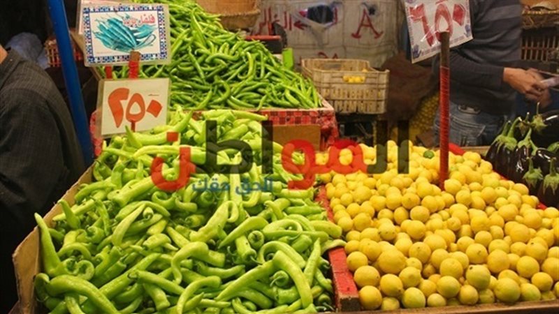  أسعار الخضراوات