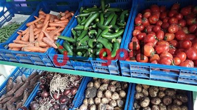 أسعار الخضروات والفاكهة بكفر الشيخ اليوم الجمعة 4 يناير 