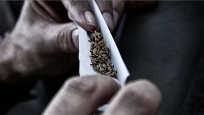 ضبط عاطل يتاجر في البانجو بكفر شكر 
