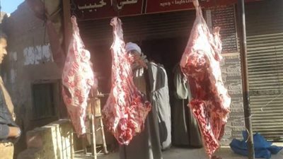 أسعار اللحوم والفراخ والأسماك والبيض بأسواق بني سويف 