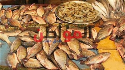 ارتفاع أسعار البلطي والبوري بأسواق الإسكندرية اليوم