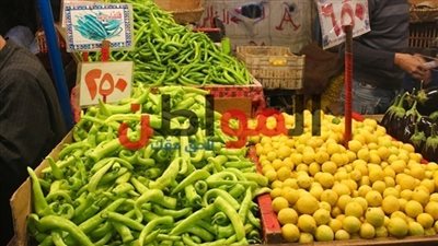 فيديو.. تقرير مفصل عن أسعار الخضراوات اليوم السبت