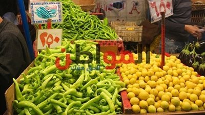 فيديو.. تقرير مفصل عن أسعار الخضراوات اليوم الجمعة