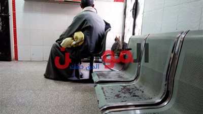 فيديو| الإهمال يضرب مستشفيات طنطا .. قطط وحشرات تحتل المكان ومسئول: نعمل جاهدين