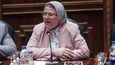 فيديو.. النائبة شيرين فراج: يجب معاقبة سيارات الحكومة لهذا السبب