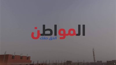 صور.. عواصف ترابية باردة تجتاح مدن ومراكز القليوبية 