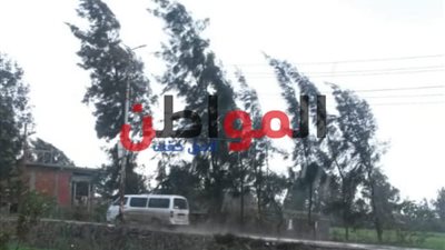 عواصف ترابية باردة وأمطار تضرب مراكز ومدن كفر الشيخ