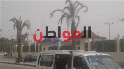 تحسن حالة الطقس بكفر الشيخ تزامنا مع الاحتفال بأعياد الميلاد
