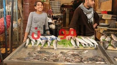 استقرار سعر السمك بأسواق الإسكندرية اليوم الثلاثاء 