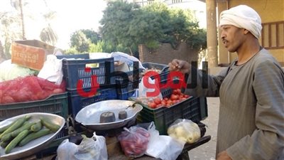 أسعار الخضروات بالإسكندرية اليوم الثلاثاء