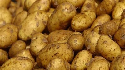 سعر البطاطس اليوم الثلاثاء 8 يناير في سوق العبور ..  خدي فكرة قبل ما تنزلي