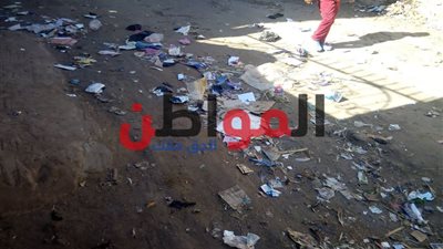 صور.. عواصف ورياح باردة تجتاح مدن ومراكز الغربية اليوم الثلاثاء 