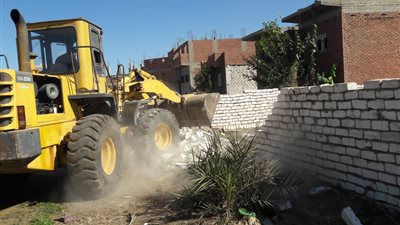 خلال 3 أيام.. إزالة 108 حالة تعدِ على الأراضي الزراعية ببني سويف 