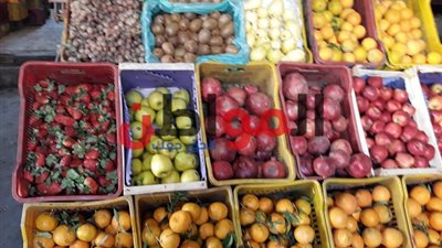 سعر الخضروات والفاكهة بأسواق كفر الشيخ اليوم الثلاثاء 8 يناير