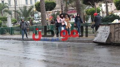 صور.. الثلوج تكسو شوارع الإسكندرية