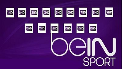 3 حلول بديلة للتغلب على غلق beIN SPORTS  في مصر 