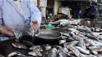فيديو| الطقس السيئ يوقف حركة الصيد ويرفع سعر الأسماك في كفر الشيخ