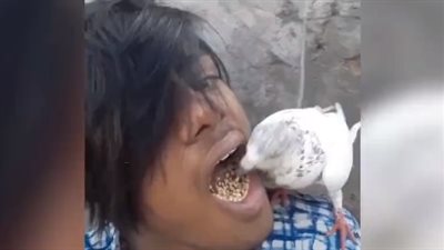 ايه ياعم مالك.. رجل يطعم الحمام بطريقة غير متوقعة 